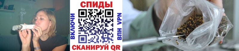 Бутират буратино  купить   Пласт 