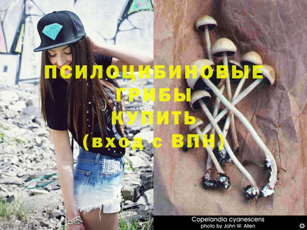 кокаин премиум Осинники