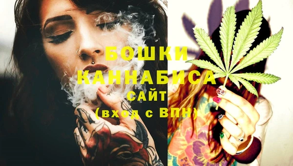 стаф Арсеньев