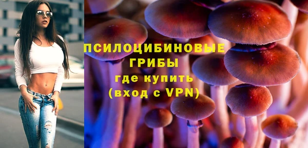 Альфа ПВП Балабаново