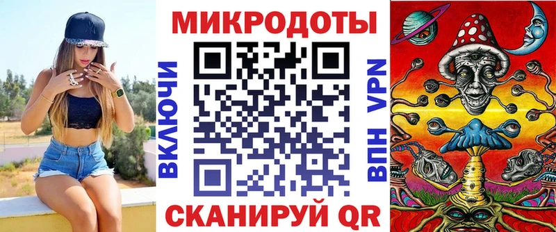 где купить   Пласт  Псилоцибиновые грибы MAGIC MUSHROOMS 